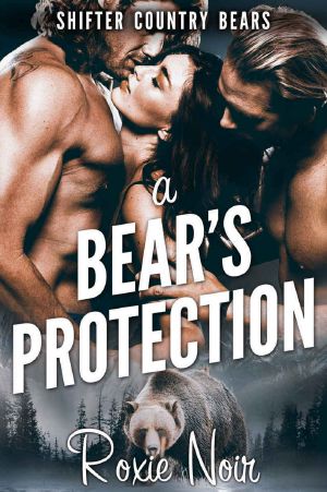 [Shifter Country Bears 01] • A Bear's Protection (Shifter Country Bears Book 1)